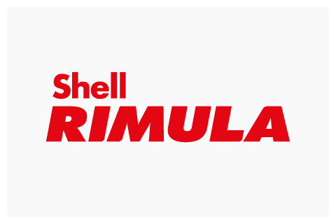 Shell Rimula