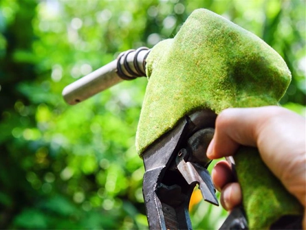 corporate sustainability