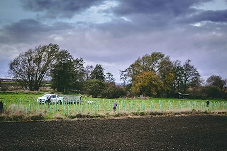 tree planting services with Carma