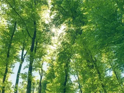 greener fuels with Oilmaxx